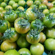 특가판매)2023년 당일 발송 품질보장 농협 정품 인증 대저 짭짤이 토마토, 03. 대저  토마토 (M~L) --- 2.5kg