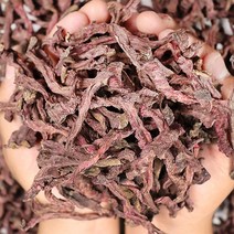 비트제철 햇비트 비트농장 비트말린거 건비트, 건비트 500g, 1개