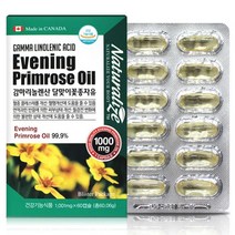 갱년기 여성 감마리놀렌산 달맞이꽃 종자유 60캡슐 부모님 선물 코스트코 성장기 60대 70대 80대 90대 식약처인증 많은 음식 할머니 개선제 여성 여자 갱년기