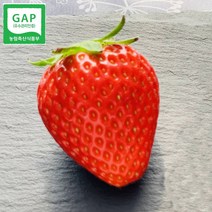 금실딸기 논산딸기 생딸기 딸기금실 800g, 금실_실속형