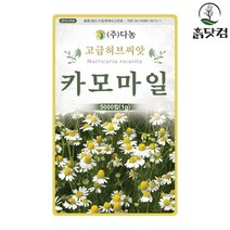 케모마일 씨앗 5000립 카모마일 일년초 허브씨앗 + 네임택, 단품
