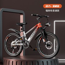 미니스프린터 봉황 마그네슘합금 자전거 8-10- 마운틴바이크 타입학생 수레쉬 기어변속 자동차, T01-기타, C14-22inch활력 은귤색 바퀴살