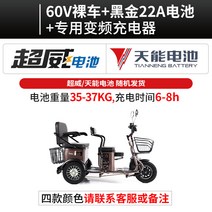 가정용 요양원 다기능 노인 어린이 전동스쿠터 휠체어, 세일즈디럭스에디션블랙골드60V22A