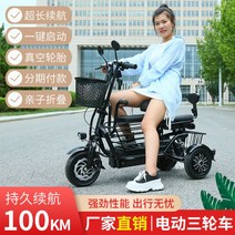 세발 전기자전거 가성비 삼륜 노인 전동 성인용 배달용, 2인승 45km, 48V