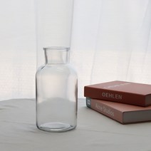 잎새몰 인테리어유리화병 꽃병 저그 미니유리화분, 투명