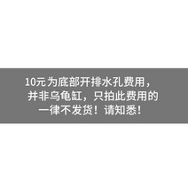 거북이키우기 미니멀리스트 모던 초대형 수륙 양용 어항 친환경 플라스틱 심플 거북이 풀 수생 놀이 공원, 01 This Charge Together