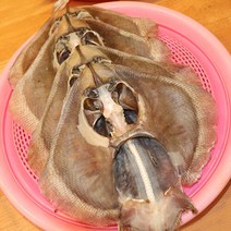 [착한어부] 반건조 국내산 가오리 1미 (400-500g 30-35cm)
