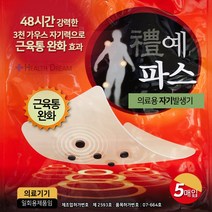 의료용 자석파스 1팩(5매입) X 10팩 의료용자기발생기 의료기기허가 3000가우스 자력발생