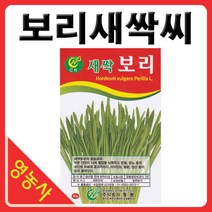 새싹보리씨앗- 보리싹 보리, 필수선택:새싹밀