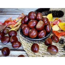 옥광밤/임금님 진상밤/1kg 2kg 4kg, 옥광(대)2kg, 1개