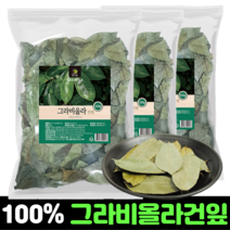 그라비올라 건잎 900g 순수 100% 자연건조 그라비올라잎 그라비올라차 분말 효능 graviola