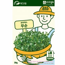 4색 모듬 무순 씨앗 1kg 대용량 집에서 길러먹는 무농약 새싹 채소 건강 베란다 식물 야채 학교 어린이집 관찰 교육용 식물 키우기
