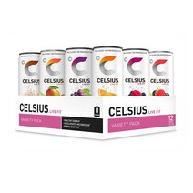 CELSIUS 셀시우스 에너지 드링크 버라이어티 12캔