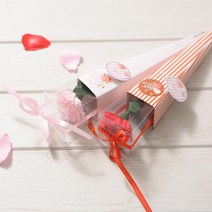 한송이 카네이션 케이스 어버이날 스승의날 선물 어머니 아버지 사랑해요 존경 감사인사 선생님 은사 교수님, 상세페이지 참조, 상세페이지 참조, 상세페이지 참조