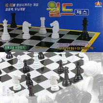 대신전자 월드 체스 고급체스 서양장기 두뇌발달 체스게임 세트, 대신_월드 체스(15)