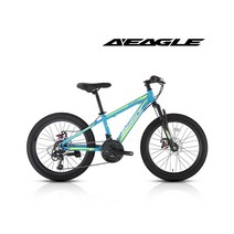 아메리칸이글자전거 탱크 22D MTB 주니어 자전거, 블랙, 98%조립시