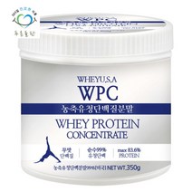 푸른들판 미국 농축 유청단백질 WPC 분말 가루 350gx1통, 없음