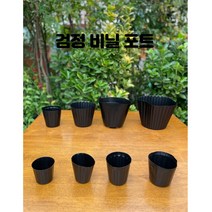 비닐포트 묶음판매) 분갈이 모종 육묘 화분 플라스틱화분, (6치) 18cm 포트에 맞는 연결6구 대