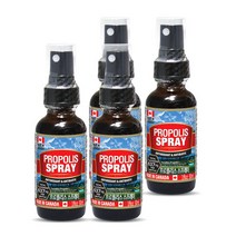 통라이프-플라보노이드637mg- 프로폴리스 스프레이30ml-4병, 1개, 단품