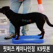 핏퍼즈 핏본 Fitpaws K9FITbone CanineGym 강아지 훈련 슬개골 탈구 예방, K9-퍼플