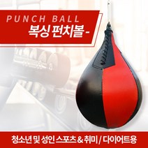미스터홈 펀치볼 스피드볼 펀칭볼 샌드백