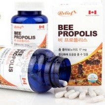 자연그대로의 꿀벌 가래 목에좋은 먹기좋은 비프로폴리스 면역력높이는영양제 90캡슐