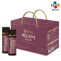 CJ 한뿌리 선물세트 배도라지 달임진액 100ml, 10병
