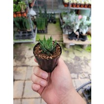 5~10cm 9 월동자 미니소품