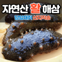 [해물선장] 식감이 일품인 국내산 S급 해삼 1kg