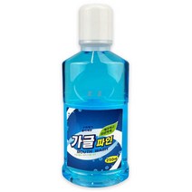 가글파인 민트향 250ml 치아 미백 치석 임냄새 백태 구취 제거 불소 잇몸 시린이 구강 청결제 치과 치약 집들이 선물, 1, 본상품선택