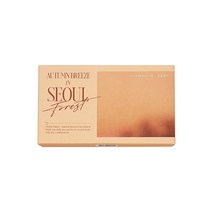 클리오 프로 아이 팔레트 AD 0.6gX10, 012 서울숲가을바람
