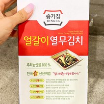 코스트코 종가집 얼갈이열무김치 1.5KG 신선포장 아이스박스 아이스팩, 1개