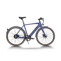 명품 전기 자전거 로드 강력한 벨트 풀리 36v 250w 25kmh 13ah ebike 품질의 도시 지방 타이어 남성용 도로, 푸른, 14아