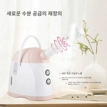 스팀기 헤어스팀기 얼굴스팀기 페이스 스티머 가정용, KD2300 페이셜 스티머(핫 스프레이 전용)