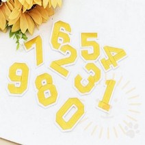 단디 숫자 패치 노랑 자수와펜