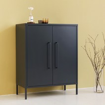 마켓비 PIDOR 철제수납장 캐비넷 모던세로중 2문 8001015, 다크그레이 0101.2744