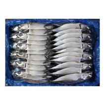 [와이제이] 7.5kg 24손 자반고등어(국산), 상세페이지 참조, 상세페이지 참조