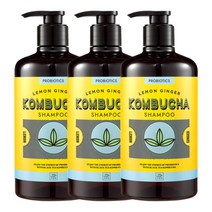 미쟝센 콤부차 레몬진저 샴푸 820ml x3, 단품