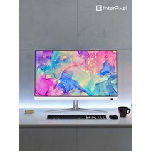 인터픽셀 IP2422 FHD 75Hz IPS 화이트 24인치 게이밍 모니터 (무결점), 무결점