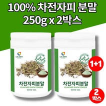 100% 인도산 차전자피 차 과립 질경이 차 씨앗 데일리 식이섬유 섬유질 화이버 자전차피 차전자 가루 분말 파우더, 2박스, 2개