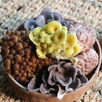 당일수확 강화도, 6종 모듬버섯 700g