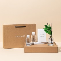 블랑16 이사 집들이 선물 세트 퇴사 승진 기념 선물 세트 쇼핑백 감사카드 포함, 루스커스_그린, 찬단