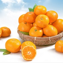 다사모농장 저농약 제주감귤 10kg-15kg 소과/중과/로얄과, 제주 감귤 10KG (L-2L) 중대과...