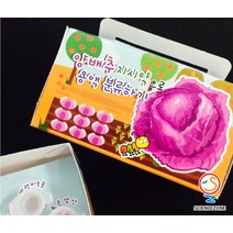 용액분류하기-붉은양배추지시약[5인용]