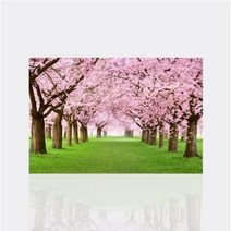 보석십자수 수재샵 벚꽃나무숲 40x30