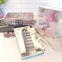 인테리어 소품으로도 좋은 나만의 비밀 위장금고 책인테리어소품 빈티지소품 금고 비밀금고 귀중품보관, 2.플라워