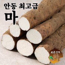 안동 최고급 장마 산마 햇마 2kg 5kg 산지직송 국내산 참마 생마, 2kg 장마 상품, 1개