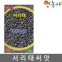 서리태 씨앗 30g