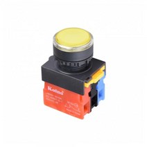 1A1B 푸쉬온 자동 복귀 리턴 스위치 트랜스부착형 220V DC LED ON-(ON) 22mm NS22-BM-L4D1A1B푸쉬 자동 복귀 리턴 스위치, 블루 [NS22-BM-L4DB1A1B]