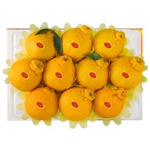 [제주애귤] 제주 서귀포 한라봉, 3kg 대과(7-11과)